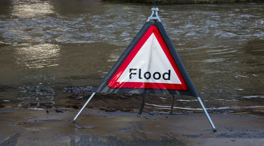 how-long-does-mold-last-after-a-flood